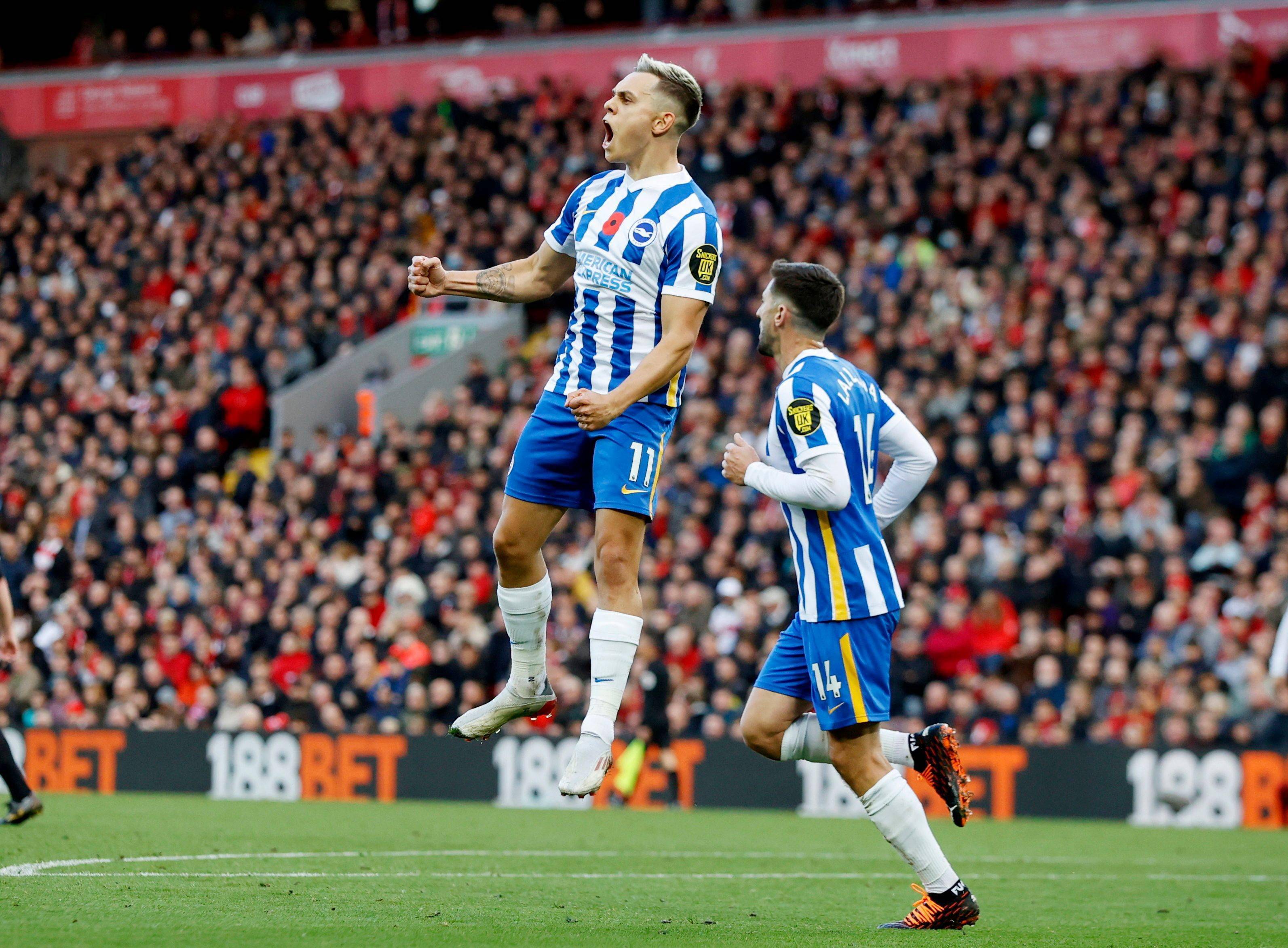 引发了球迷 引发了球迷